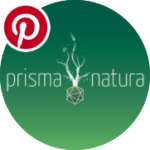 Logo Prisma Natura & Pinterest